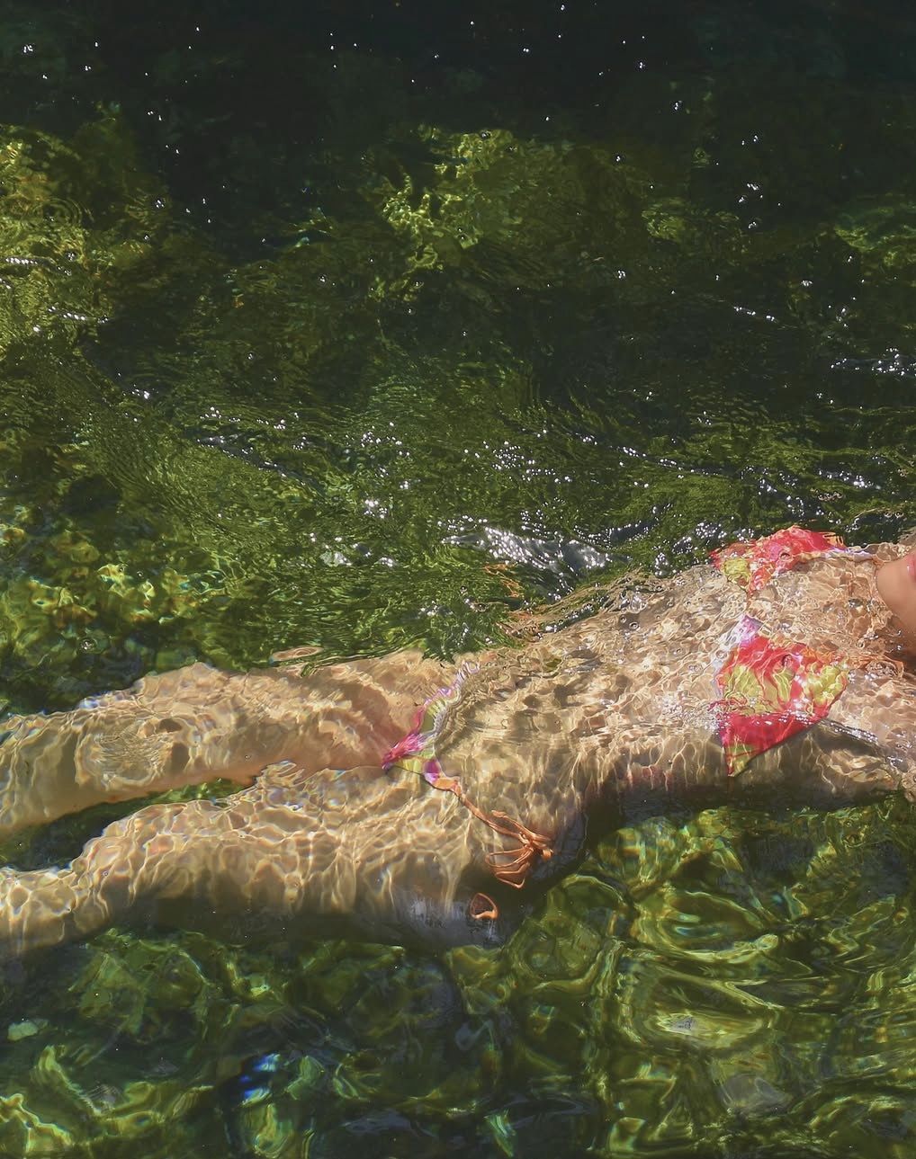 Half-Day Sea Turtle and Cenote Snorkeling Tour from Cancun & Riviera Maya